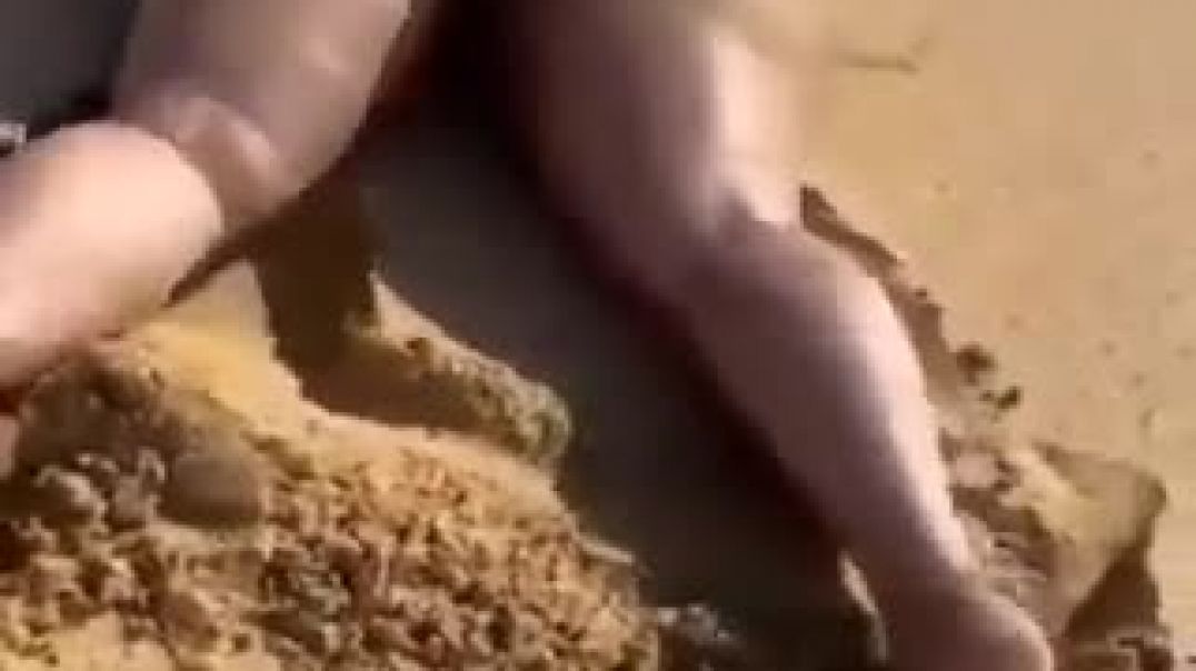 ⁣Bitch beach