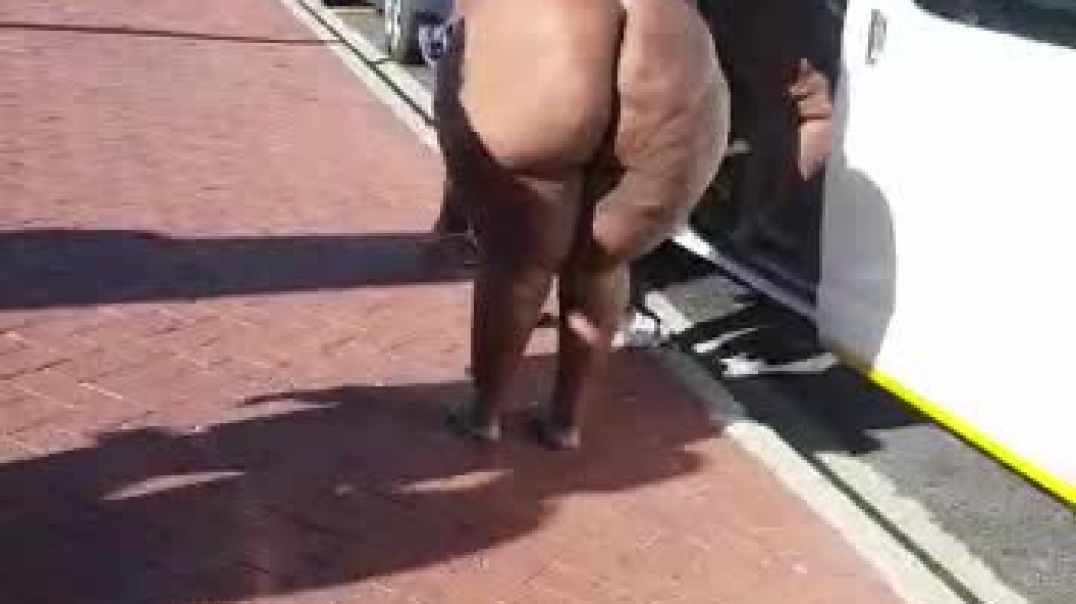 Big mzansi ass taking a public 🚕 transport