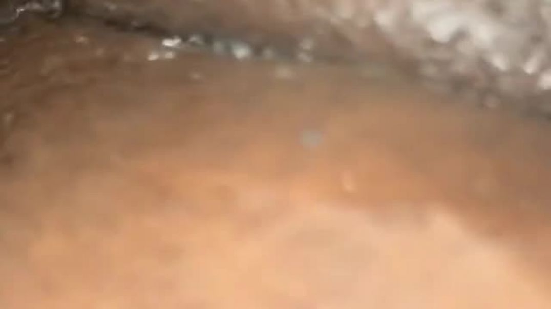 ⁣Sexy kitty wet pussy