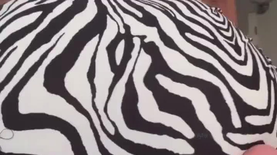 ⁣Phatkitty