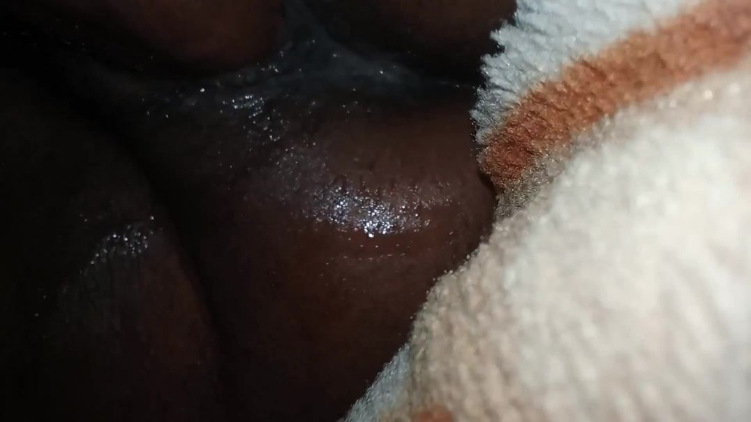 ⁣Wet morning  glory