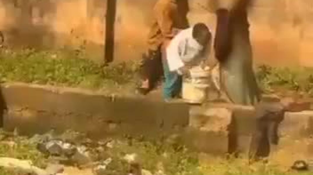 ⁣Doggy caught  on cam