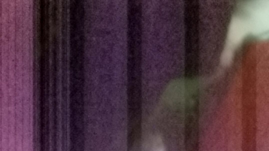 live video Maiquen Frede 