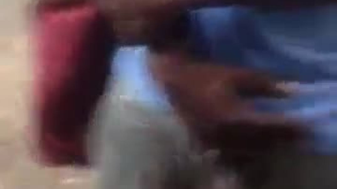 Zimbabwean bitches prayses big black Dick