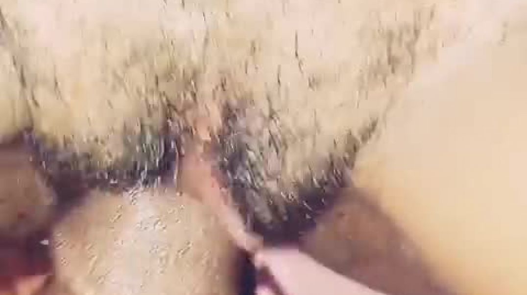 ⁣Teasing prostitute  raw