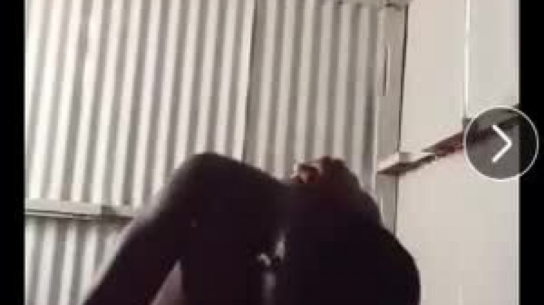 Tongwa burna sextape part 2