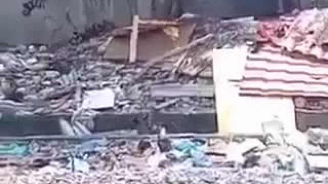 Homeless guy morning  doggy