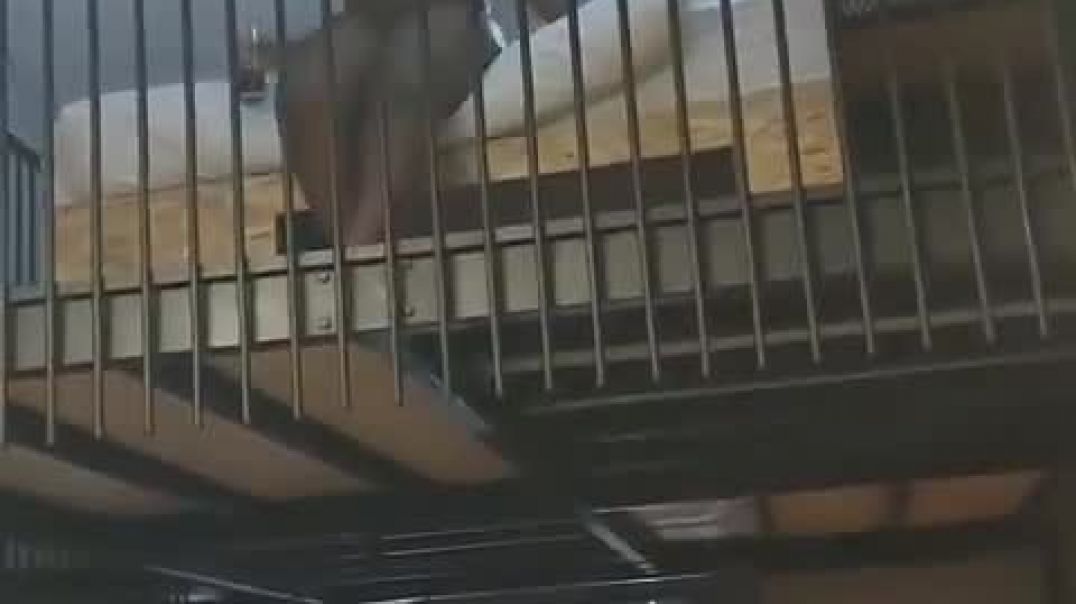 ⁣House of butternut