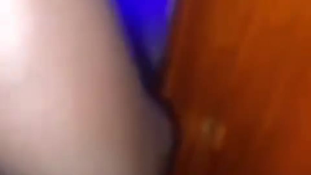 ⁣Doggy toilet seat