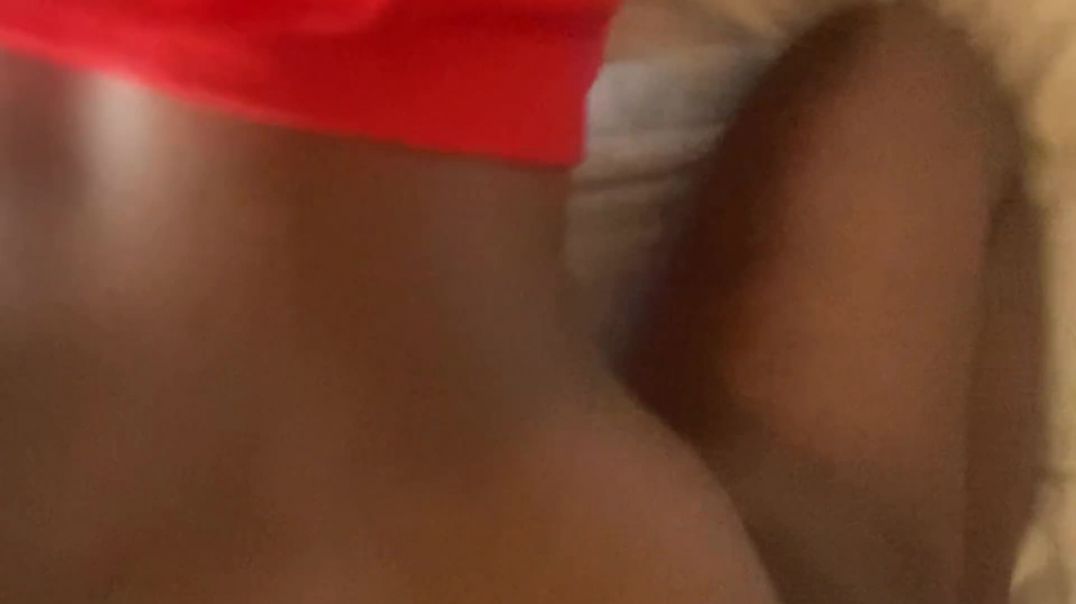 Doggy looking  at beautiful gals on her t shirt